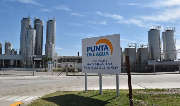 LA PLANTA DE PUNTA DEL AGUA.
