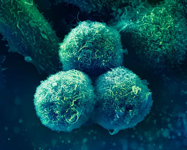 Anmat aprobó una inmunoterapia subcutánea contra el cáncer: es más rápida y menos invasiva. 