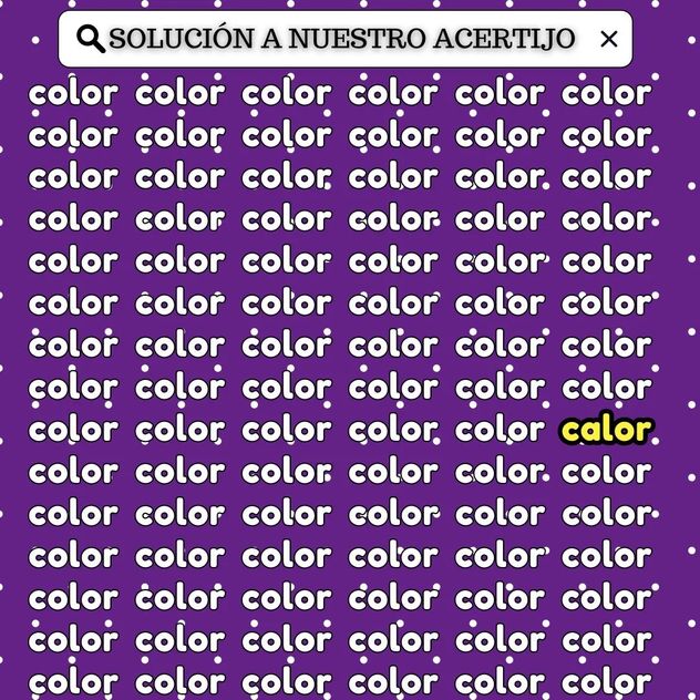 El acertijo visual.