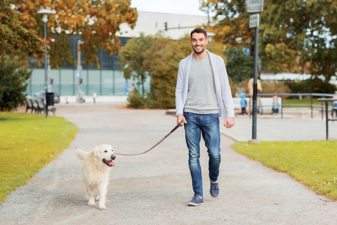 Qué pasó con el empleado despedido por pasear al perro durante una licencia médica.