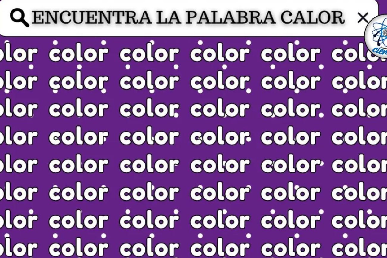 El acertijo visual.