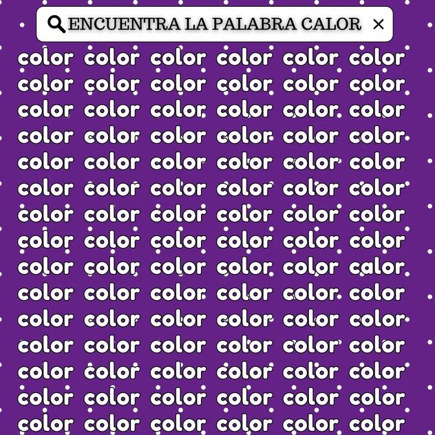 El acertijo visual.