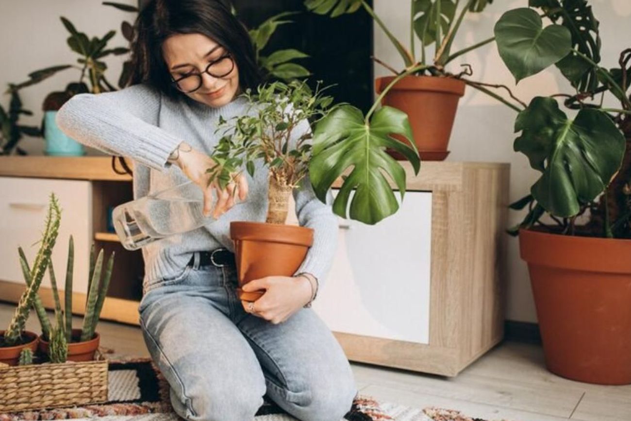 Lo dice la ciencia: el hábito poco conocido que hace que las plantas crezcan más sanas 