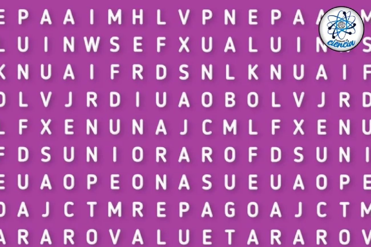 El acertijo visual.