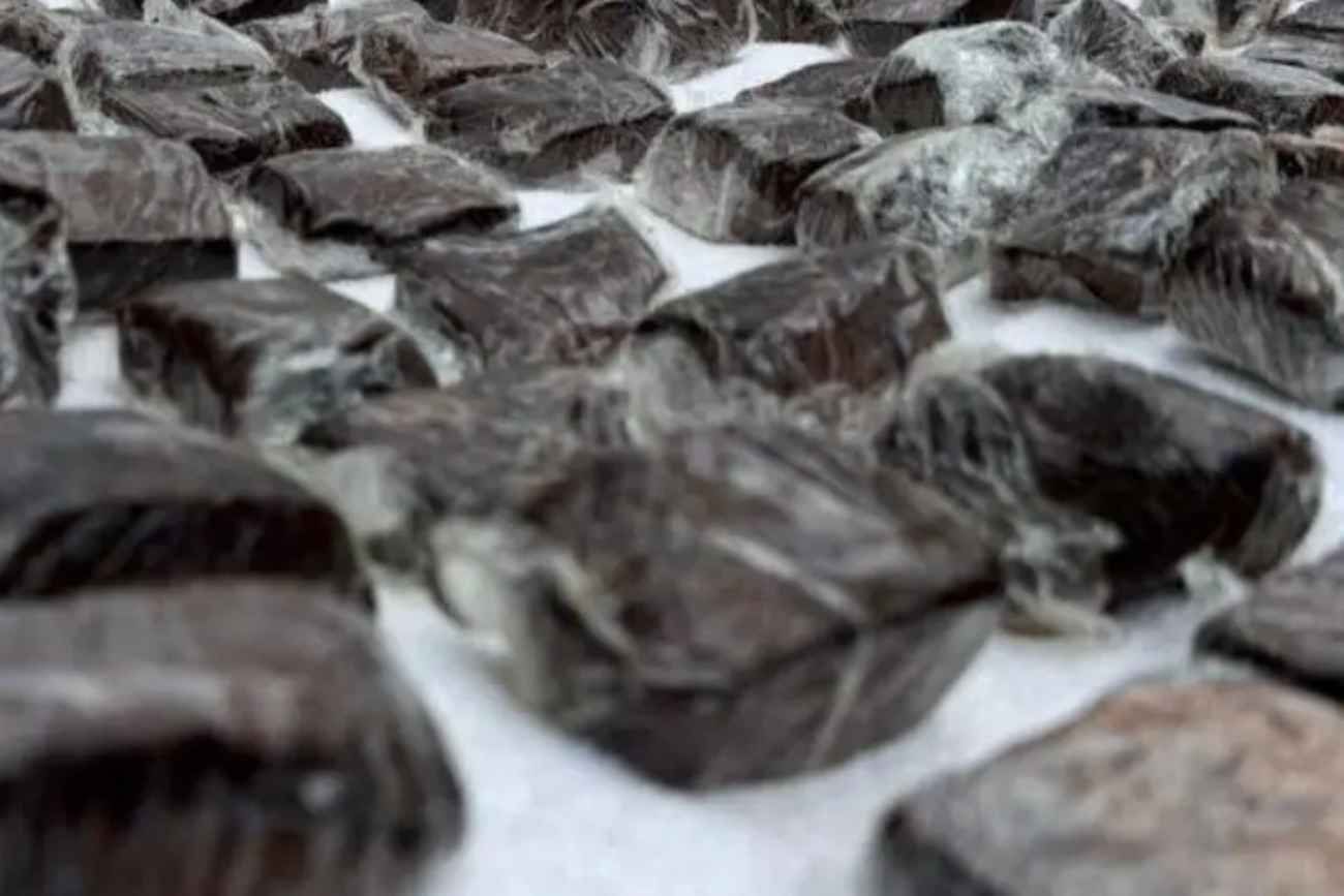 Llevó brownies con marihuana a la escuela y seis alumnos se descompusieron. 