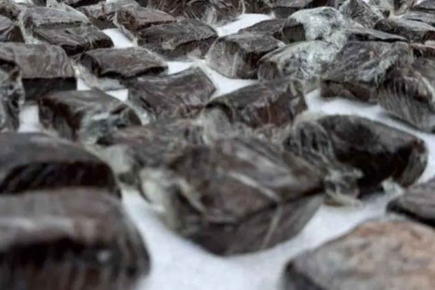 Llevó brownies con marihuana a la escuela y seis alumnos se descompusieron. 