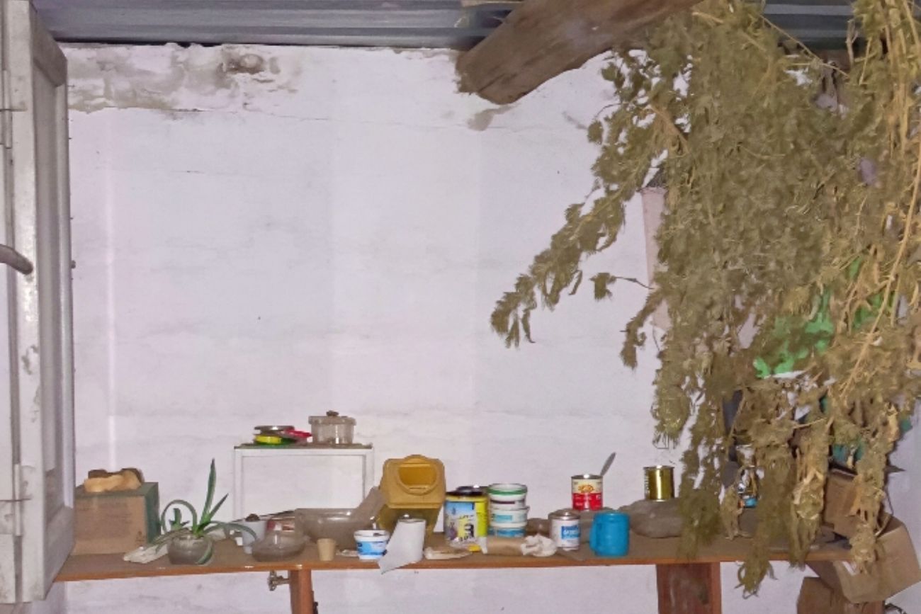 Córdoba: cayó un hombre con plantación de marihuana, secuestraron un arma y evitaron el robo de una moto