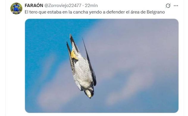 Más memes de Belgrano campeón.