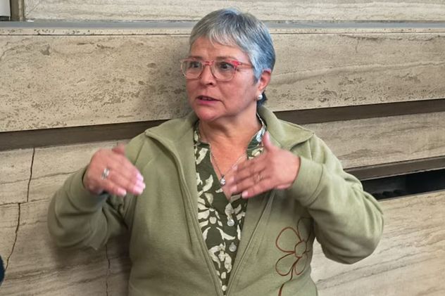 Hilda Horovitz, expareja de Centeno, declaró en el juicio por la Causa Cuadernos