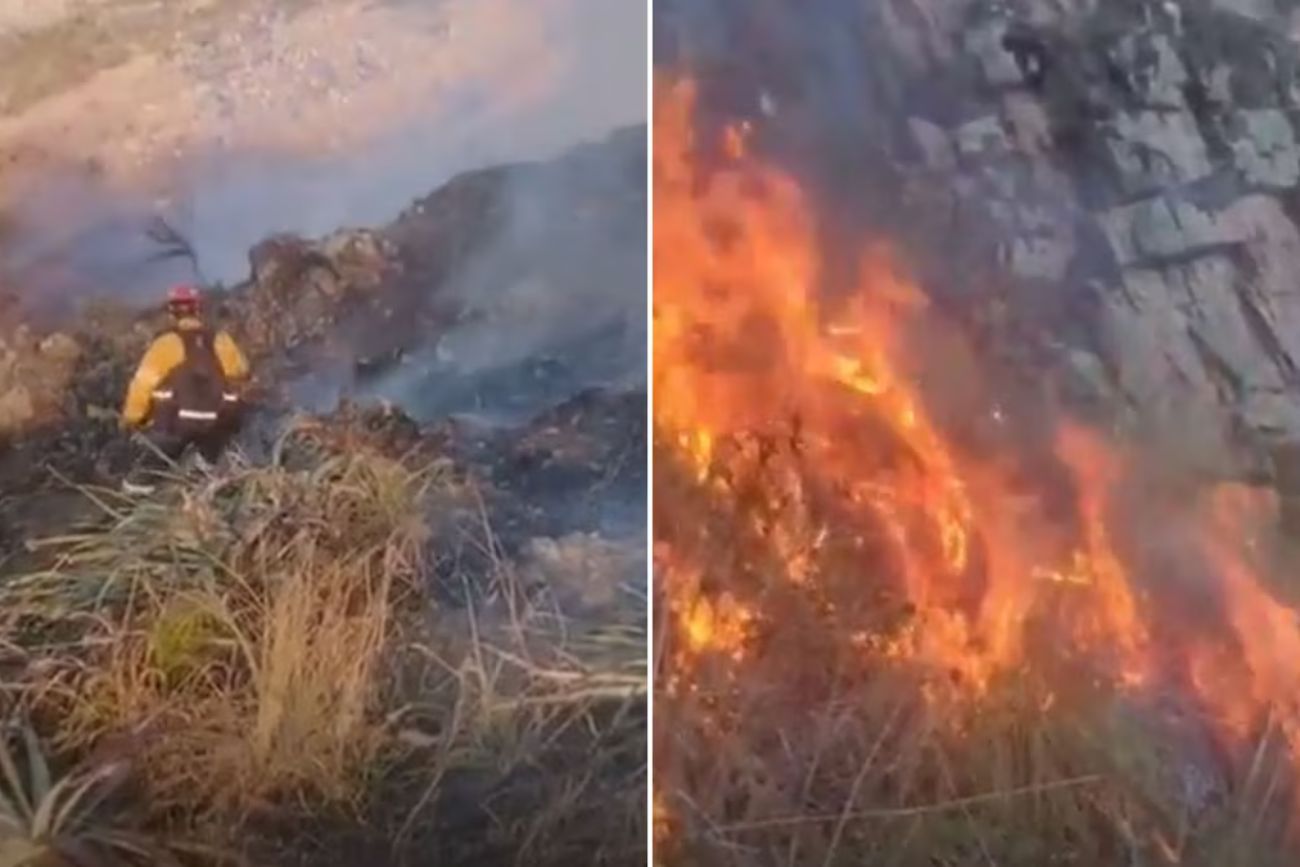 Vecinos intentaron ahuyentar a un puma con fuego y provocaron un incendio que ya arrasó 40 hectáreas