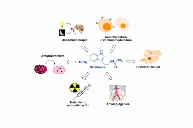 La melatonina (la hormona que regula el sueño) podría proteger frente a la diabesidad, una patología resultante de la combinación de obesidad y diabetes tipo 2.