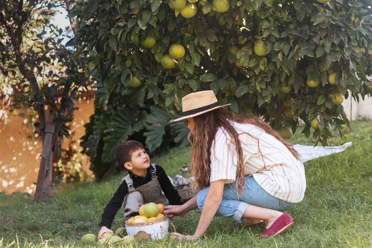 Cinco árboles frutales que no rompen el piso: cuáles plantar en jardines pequeños