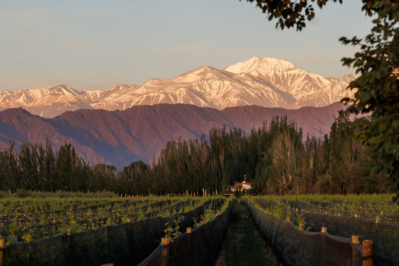 Degustaciones guiadas, recorridos a caballo y almuerzos maridados forman parte de la propuesta enoturística de la finca ubicada en Luján de Cuyo.