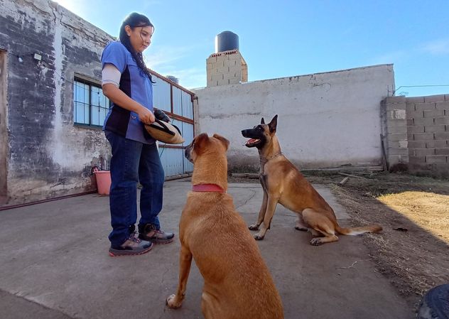 Romina Cuello, en su hotel canino en el Valle de Traslasierra. Lo atienden tres socias y tres empleadas. 