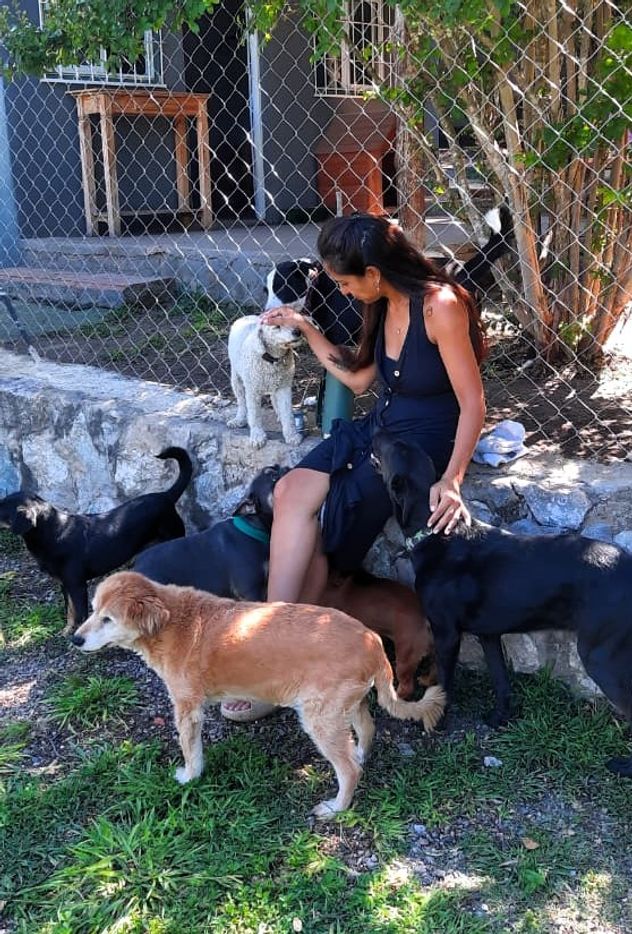 Cosquín. Hotel para perros Colibrí Serrano. Allí también tienen otro espacio para alojar a gatos. 