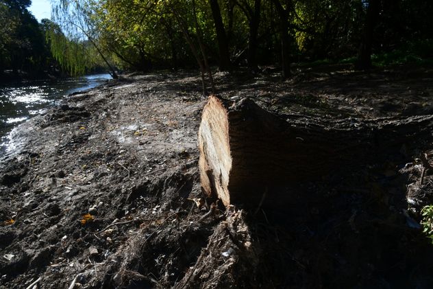 Desforestación e intervención en las costas del río Suquía. (Ramiro Pereyra / La Voz) 
