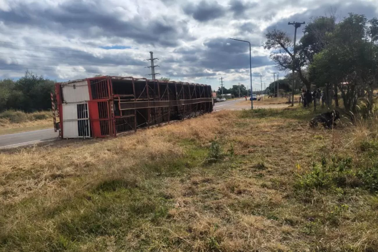 Vuelco de un camión con ganado en la ruta nacional 64: piden circular con extrema precaución