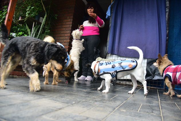 Guardería para perros, en una casa de barrio Urca, de la ciudad de Córdoba. Un tipo de servicio que ha crecido en los últimos años. 