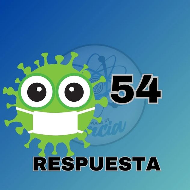 El acertijo visual.