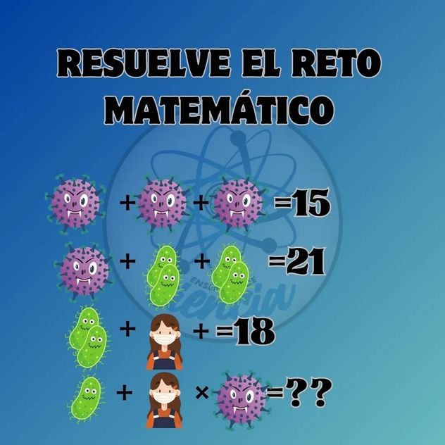 El acertijo visual.