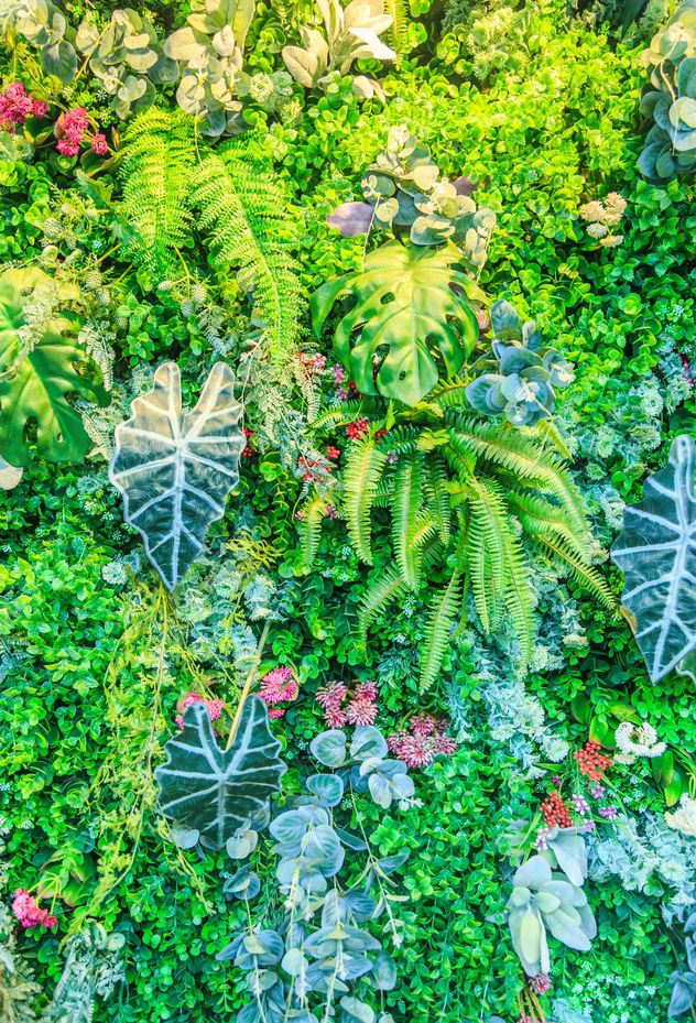 Las 8 plantas más usadas en jardines verticales que son fáciles de mantener. 
