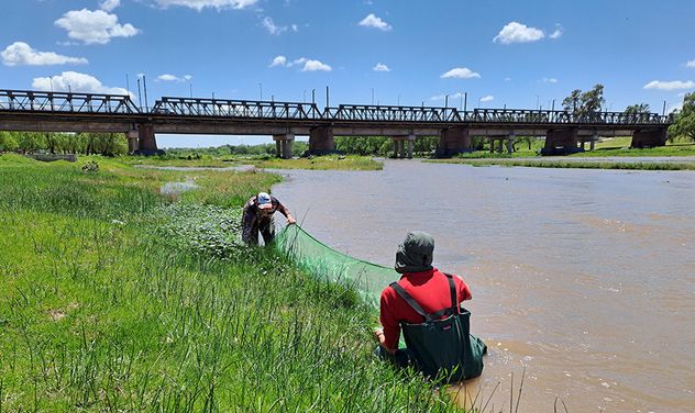 Desde la UNRc investigaron la presencia de peces en el cauce del río, a la altura del tramo urbano de Río Cuarto. 
