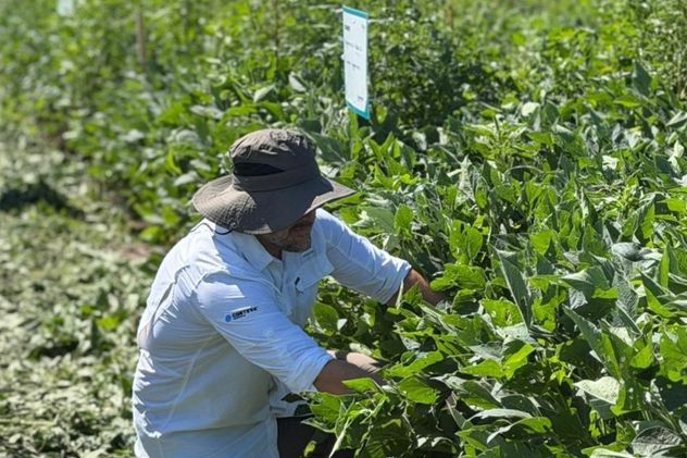 La tecnología incorporada a nuevas formulaciones de 2,4-D permite mejorar la precisión y reducir riesgos durante las aplicaciones.