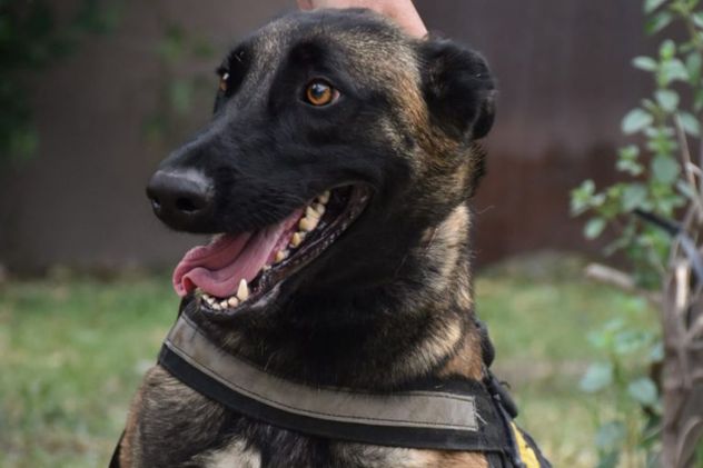 La FPA entregó una cachorra a la Policía de Córdoba
