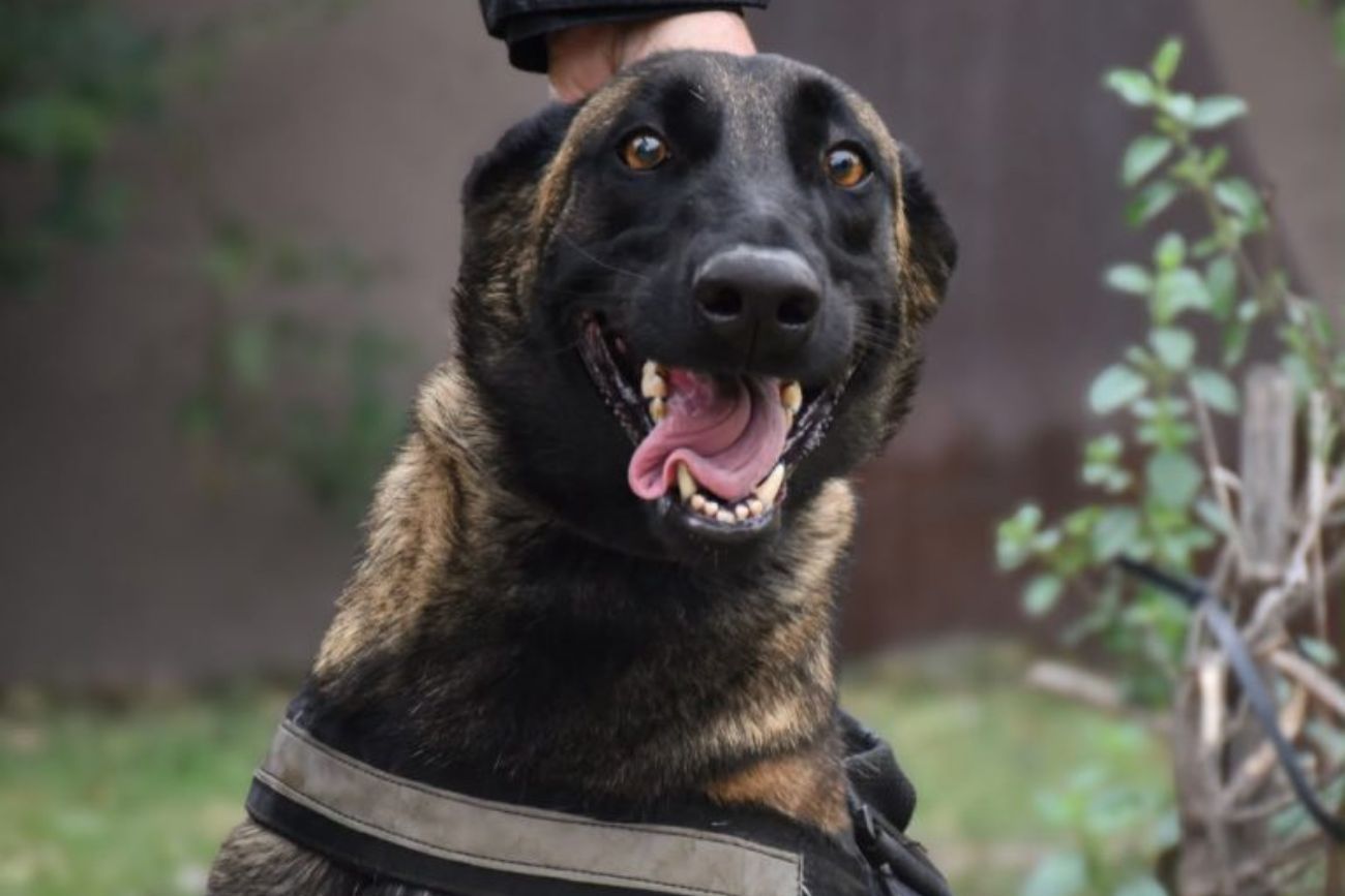 La FPA entregó una cachorra a la Policía de Córdoba
