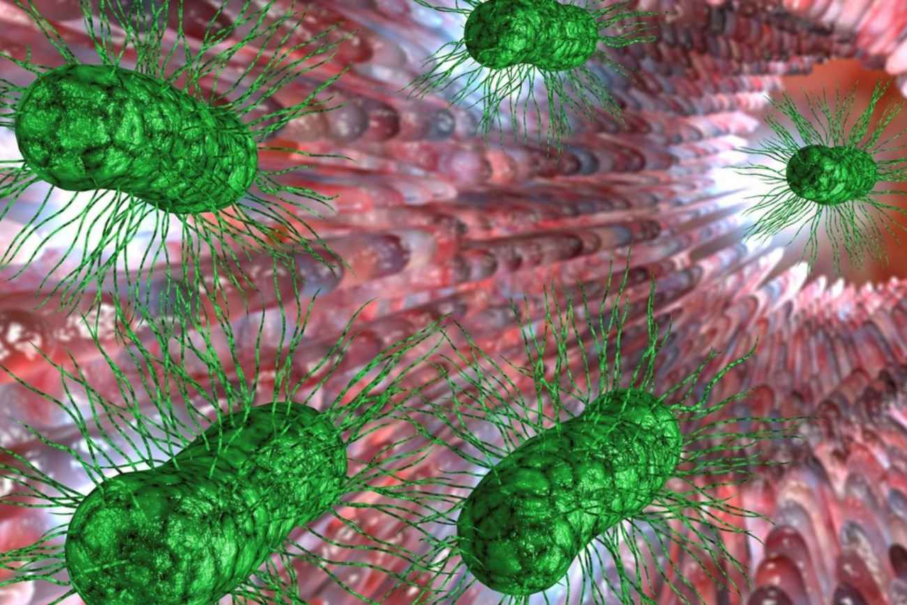El Hospital Italiano halló, por primera vez, bacterias resistentes a los antibióticos en porteños sanos fuera de los hospitales. 