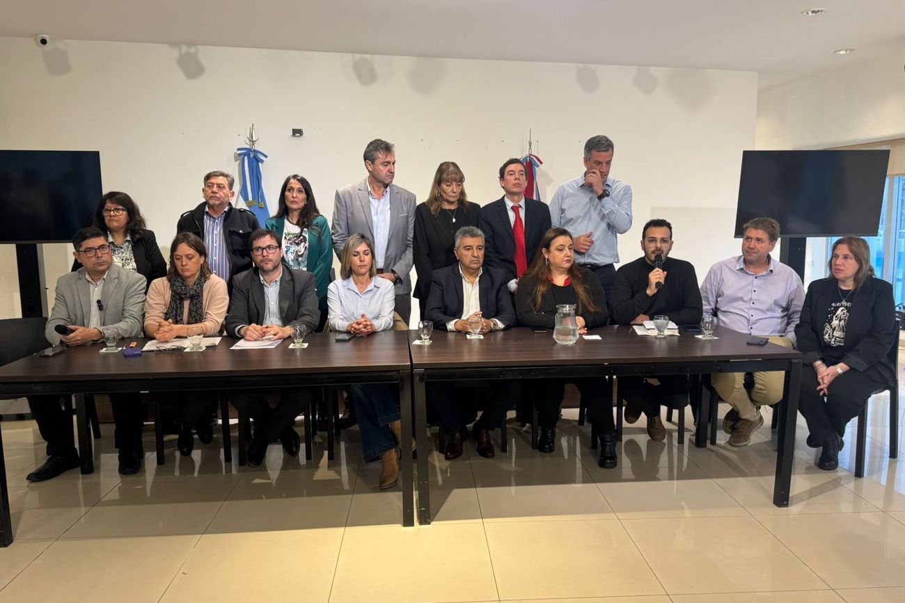 Legisladores de la oposición se reunieron en conferencia de prensa para pedir el apartamiento de los fiscales Garzón y Rodríguez.