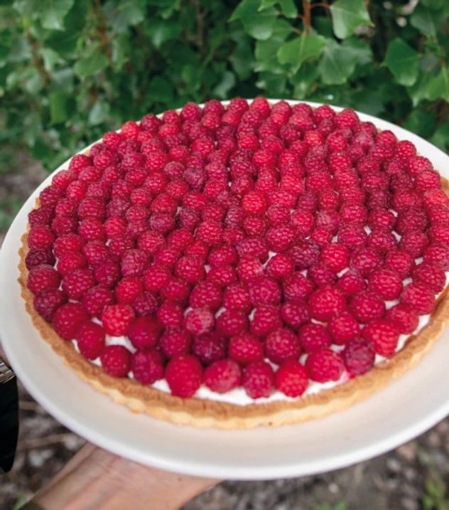 La tarta de frambuesas de Juliana Awada: paso a paso para hacer el postre que conquista en el sur.