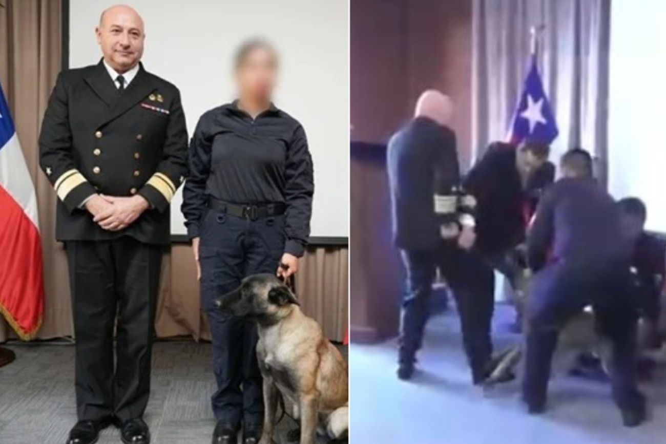 Un perro antidrogas se abalanzó sobre el bolsillo de un vicealmirante durante una ceremonia de la Armada en Chile.