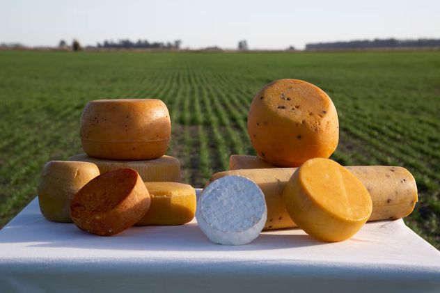 El destino rural que conquista a los amantes del queso queda a poco más de una hora de Buenos Aires.