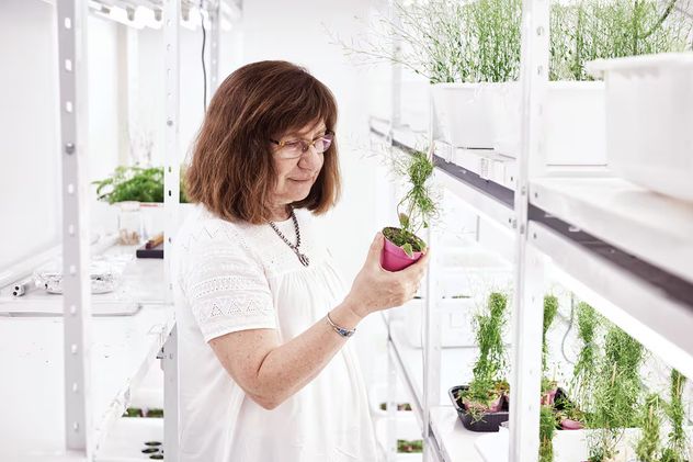 Raquel Lía Chan, investigadora en el área de Bioquímica y Biotecnología Vegetal.