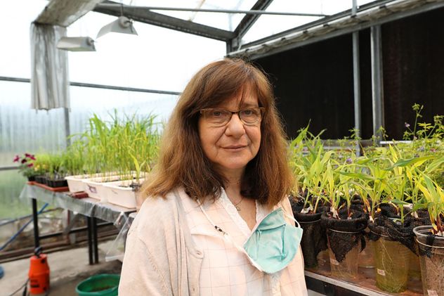 Raquel Lía Chan, científica e investigadora en el área de Bioquímica y Biotecnología Vegetal.