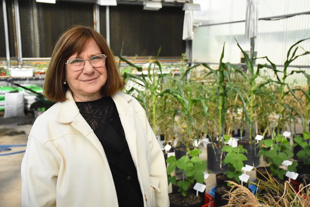 Raquel Lía Chan, investigadora en el área de Bioquímica y Biotecnología Vegetal.