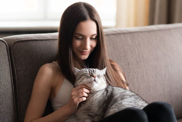 Abrazos a gatos.