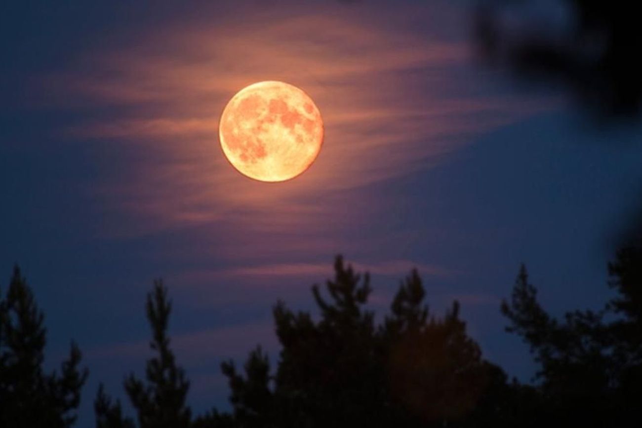 La Luna de fresa alcanzará su máximo brillo el 29 de junio y podrá observarse desde toda Argentina siempre que las condiciones meteorológicas acompañen.