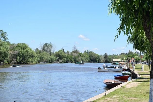 La "Venecia argentina" existe y queda en Entre Ríos: qué hacer en Villa Paranacito.