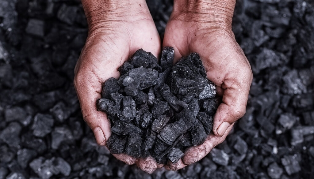 BIOCARBÓN. La herramienta capaz de transformar desechos agrícolas, forestales y ganaderos en un producto con aplicaciones productivas y ambientales.