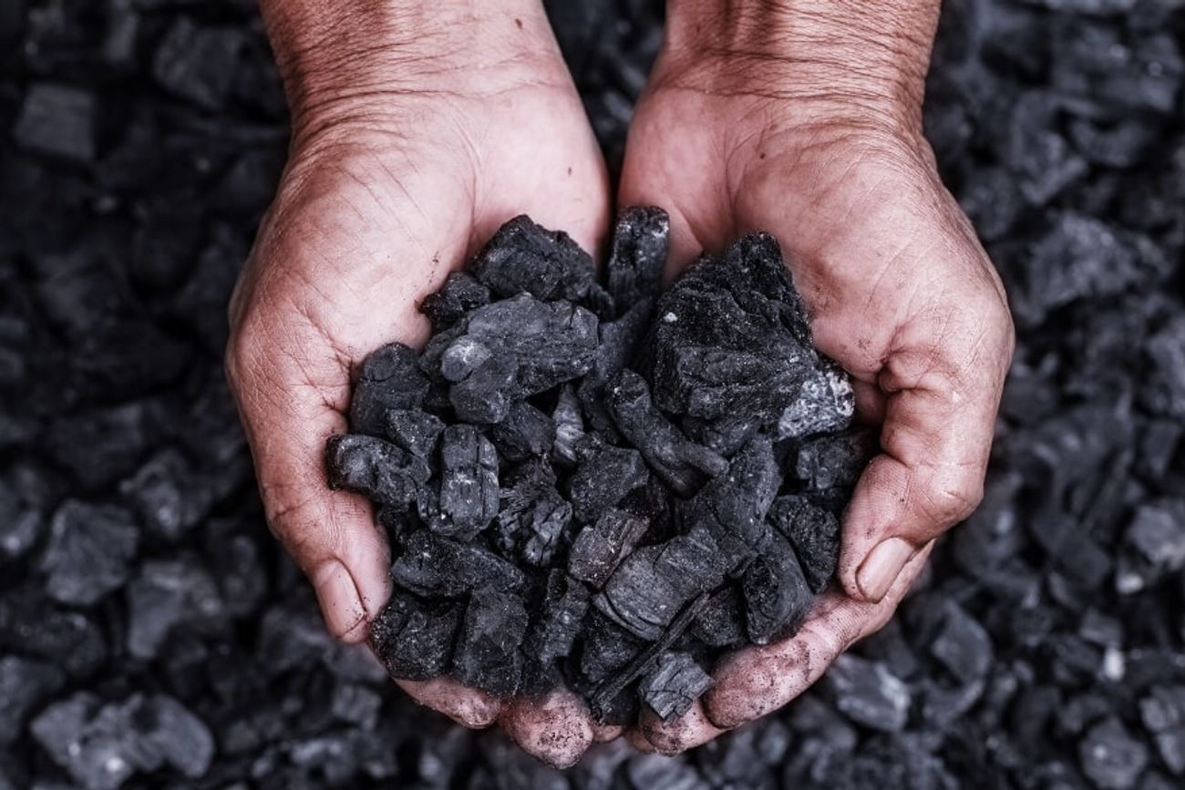 BIOCARBÓN. La herramienta capaz de transformar desechos agrícolas, forestales y ganaderos en un producto con aplicaciones productivas y ambientales.