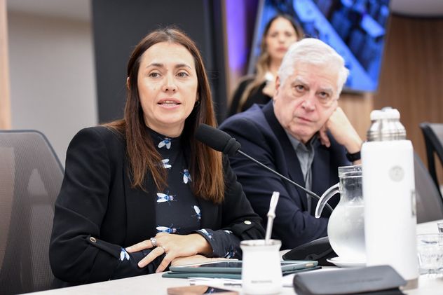 Carolina Basualdo y Carlos Gutiérrez, diputados nacionales por el PJ cordobés, en la reunión de la comisión de Turismo de Diputados. 