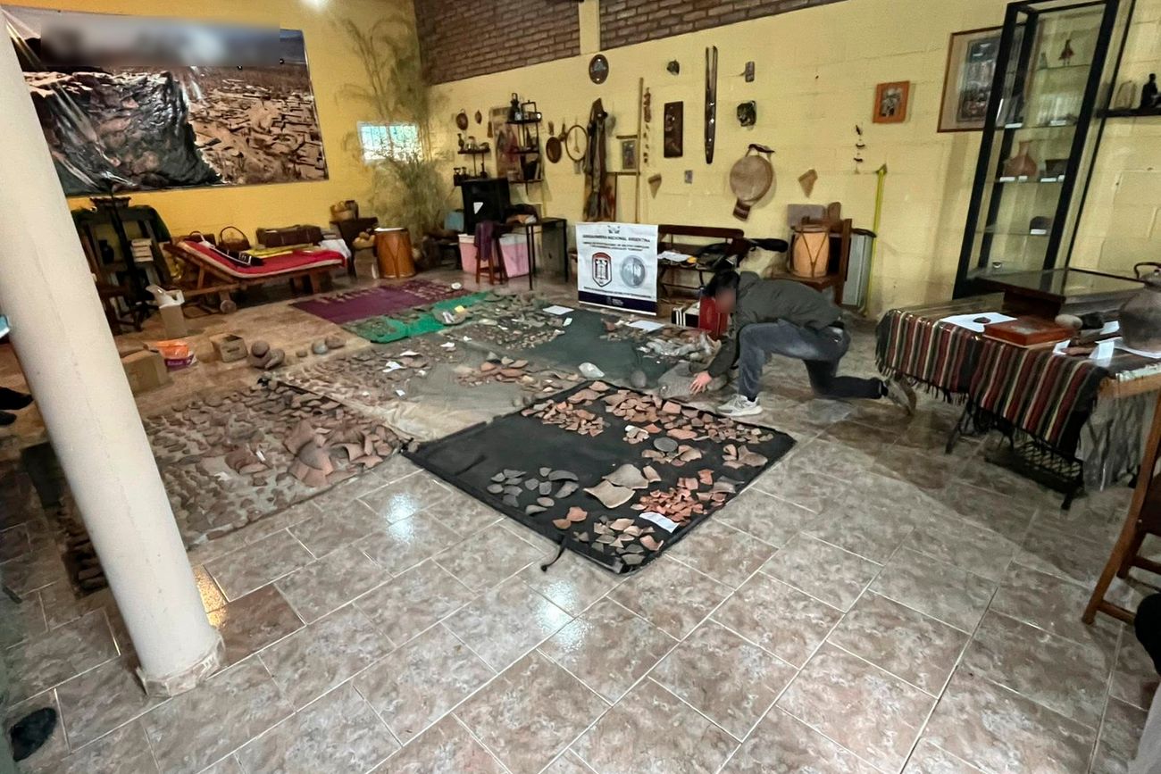 Operativo con secuestro de piezas. (Gendarmería)