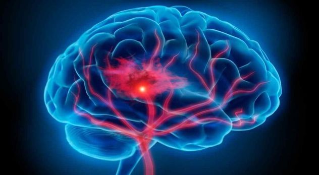 Cerebro (Imagen ilustrativa)