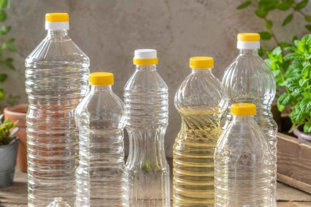 Las botellas de aceite vacías pueden convertirse en elementos útiles para el jardín y ayudar a reducir la cantidad de residuos que se generan en el hogar.