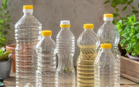Las botellas de aceite vacías pueden convertirse en elementos útiles para el jardín y ayudar a reducir la cantidad de residuos que se generan en el hogar.