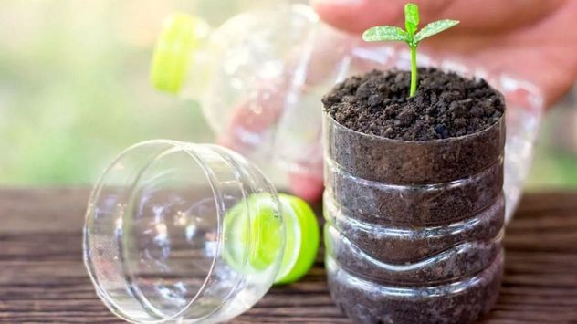 Las botellas de aceite vacías pueden convertirse en elementos útiles para el jardín y ayudar a reducir la cantidad de residuos que se generan en el hogar.