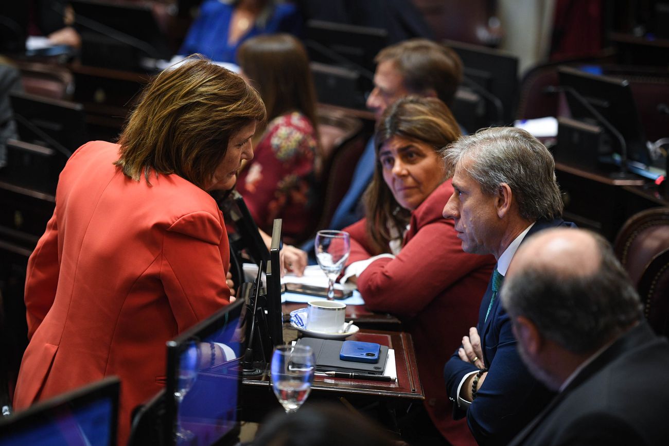 Patricia Bullrich y Eduardo Vischi, presidentes de los bloques de La Libertad Avanza y UCR en el Senado