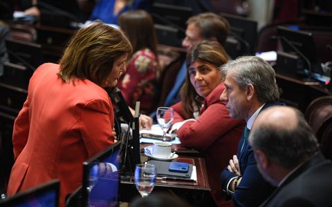 Patricia Bullrich y Eduardo Vischi, presidentes de los bloques de La Libertad Avanza y UCR en el Senado